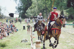 Raaseporin rauniolinna