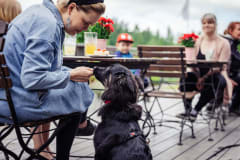 Restaurant Greeneri offers Cafe, lunch and brunch also in terrace in Mikkelipuisto park.