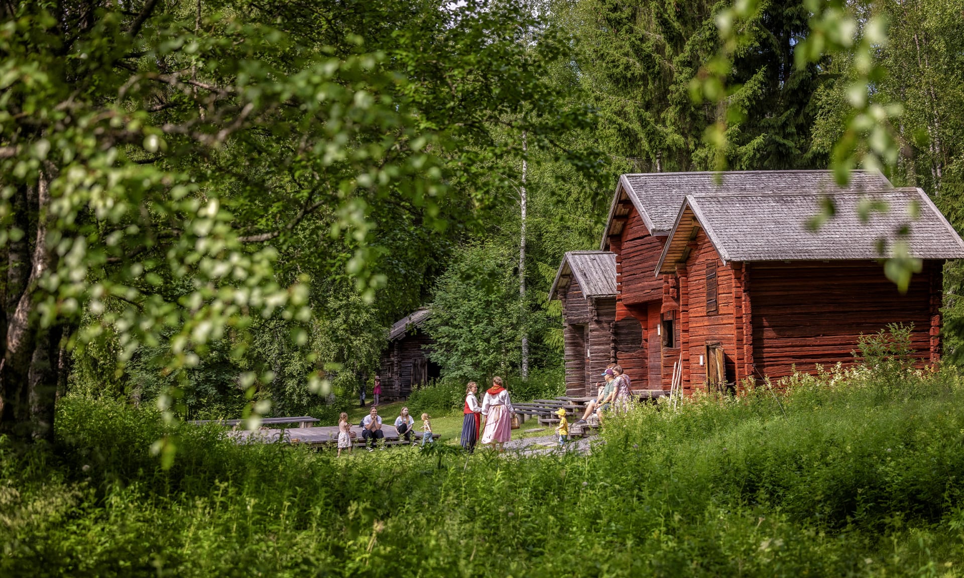 Old wooden buildings in the middle of beautiful nature.