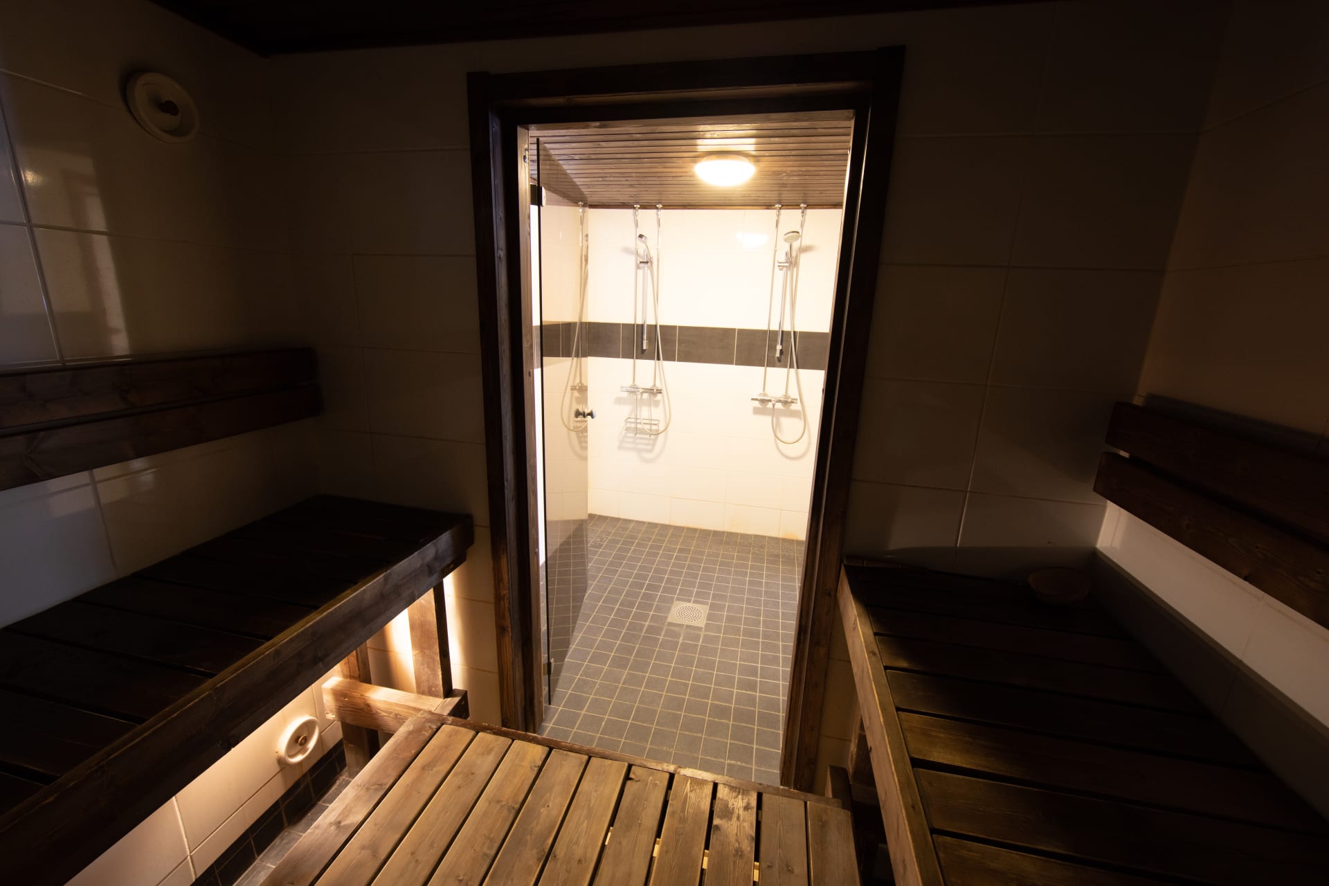 Sauna and shower room