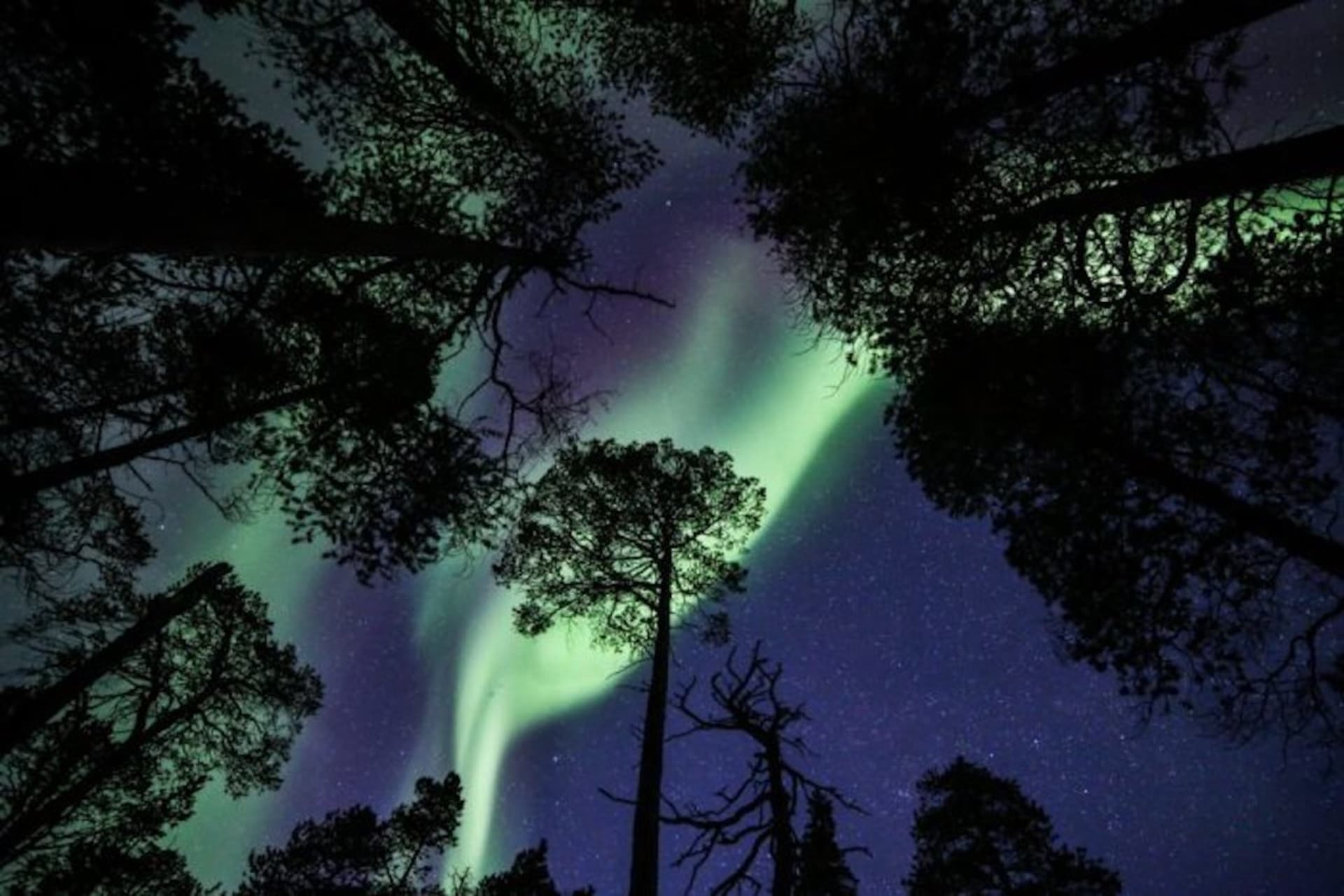 Northern Lights Adventure -package (4 days, 3 nights)