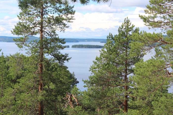 The path guide to Haukkavuori hill, experience a breathtaking view over Päijänne. 