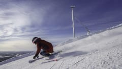 Suksi- ja lautademot