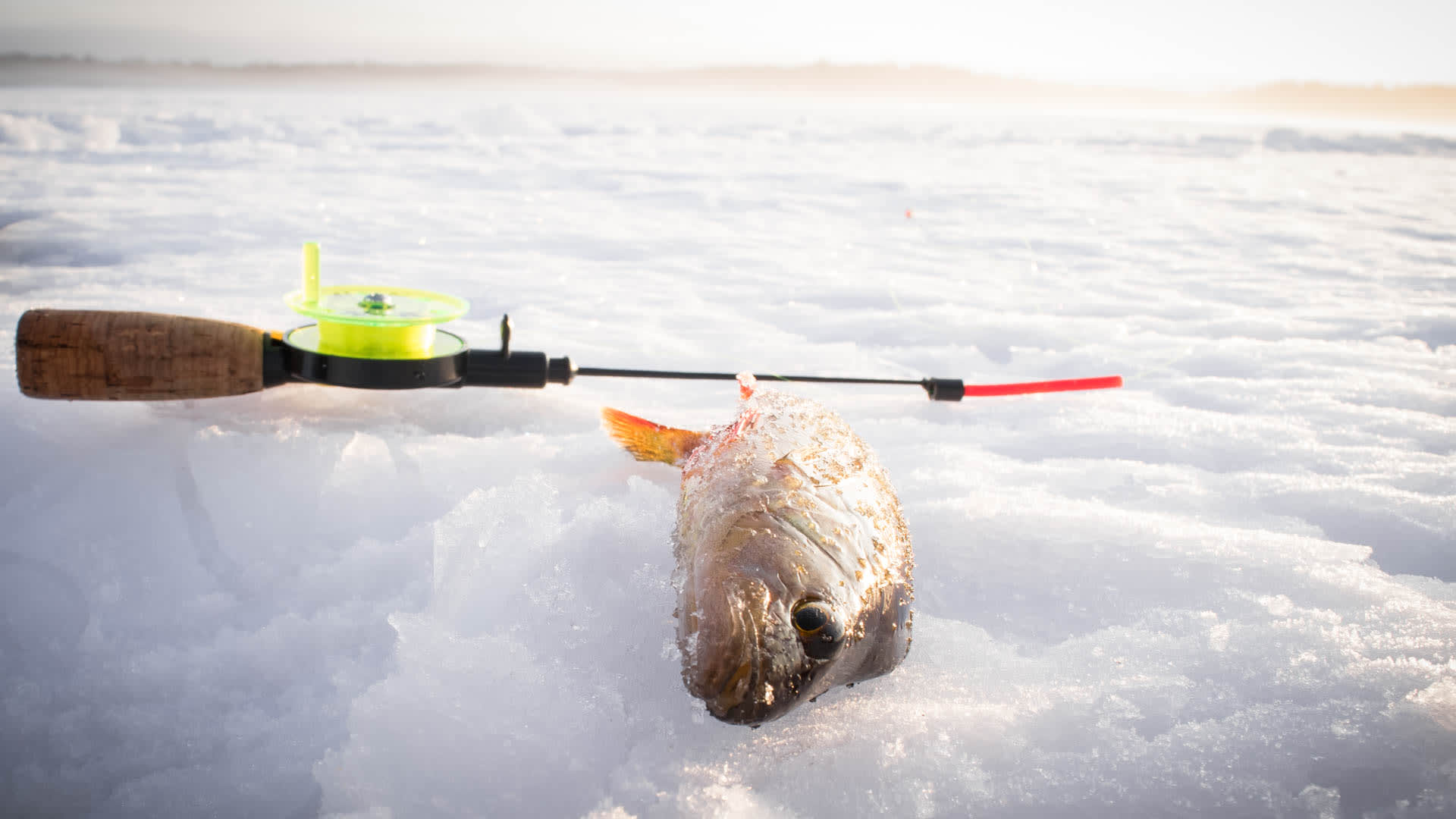 Ice Fishing