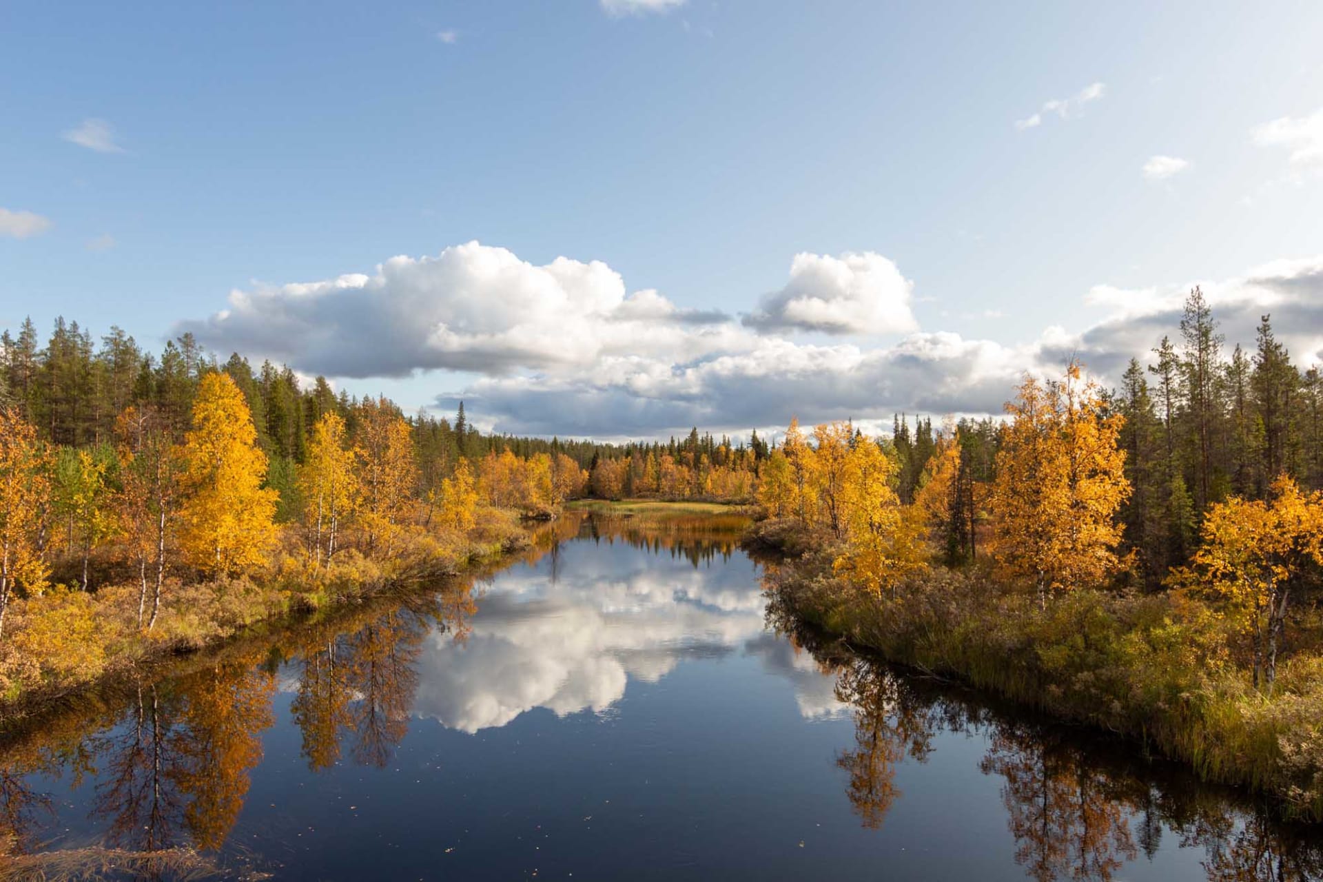 river with autumn colours