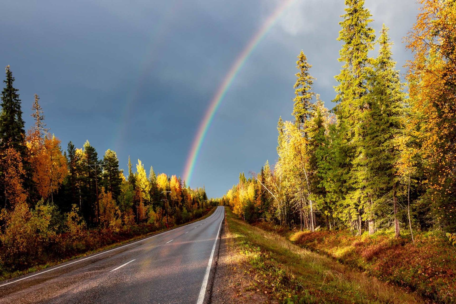 rainbow in autumn