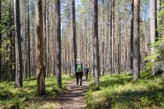 Patikointia Leivonmäen kansallispuistossa