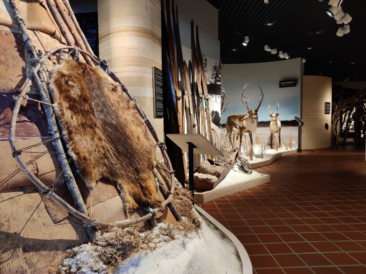 School visit to The Hunting Museum of Finland
