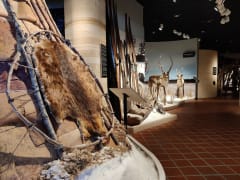 The Museum exhibits the history of hunting in Finland from the Stone Age to the 21st century.