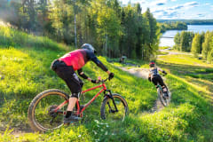 Maastopyöräilijöitä metsässä