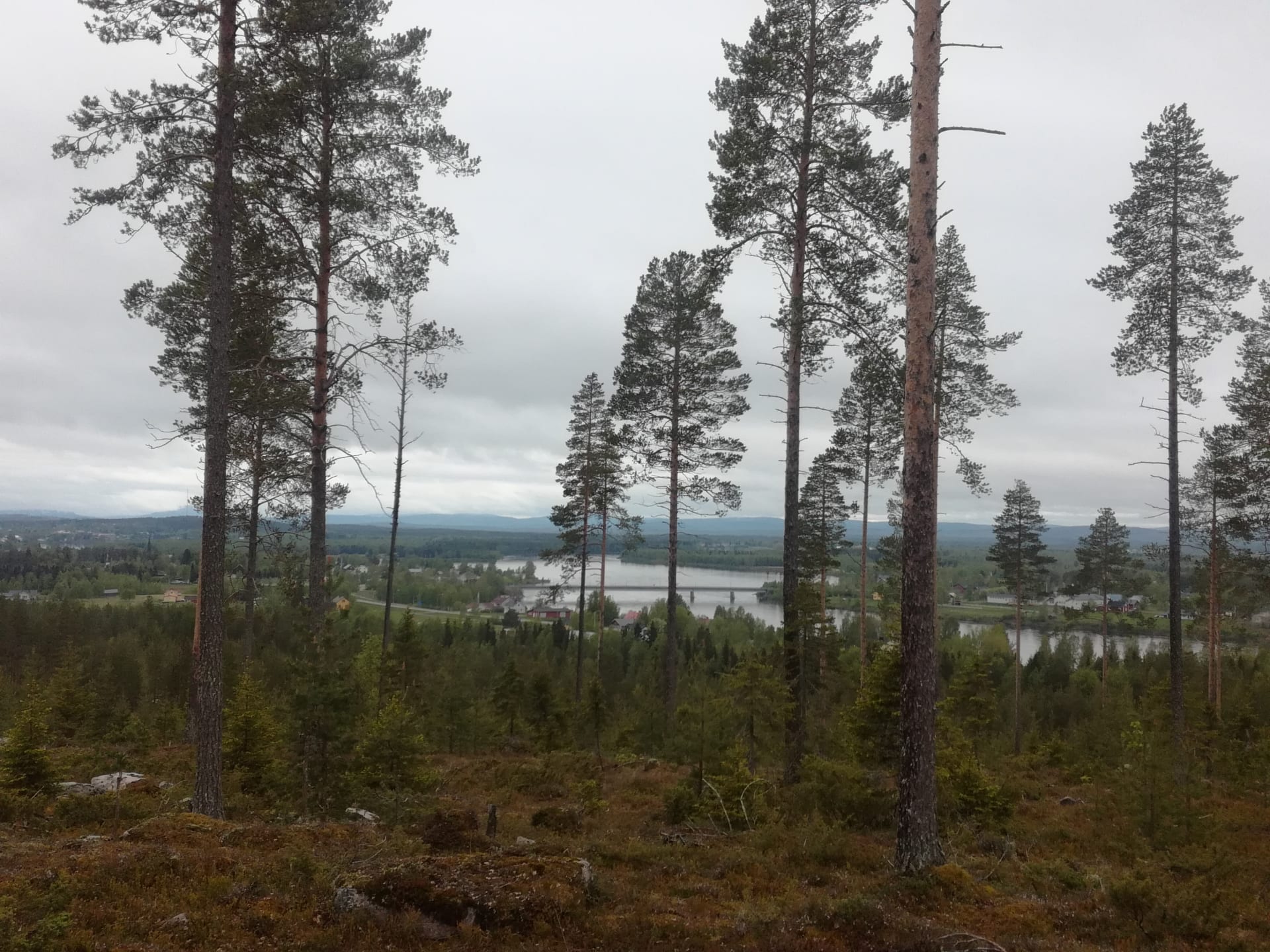 Maisema Maupertuis-muistomerkiltä