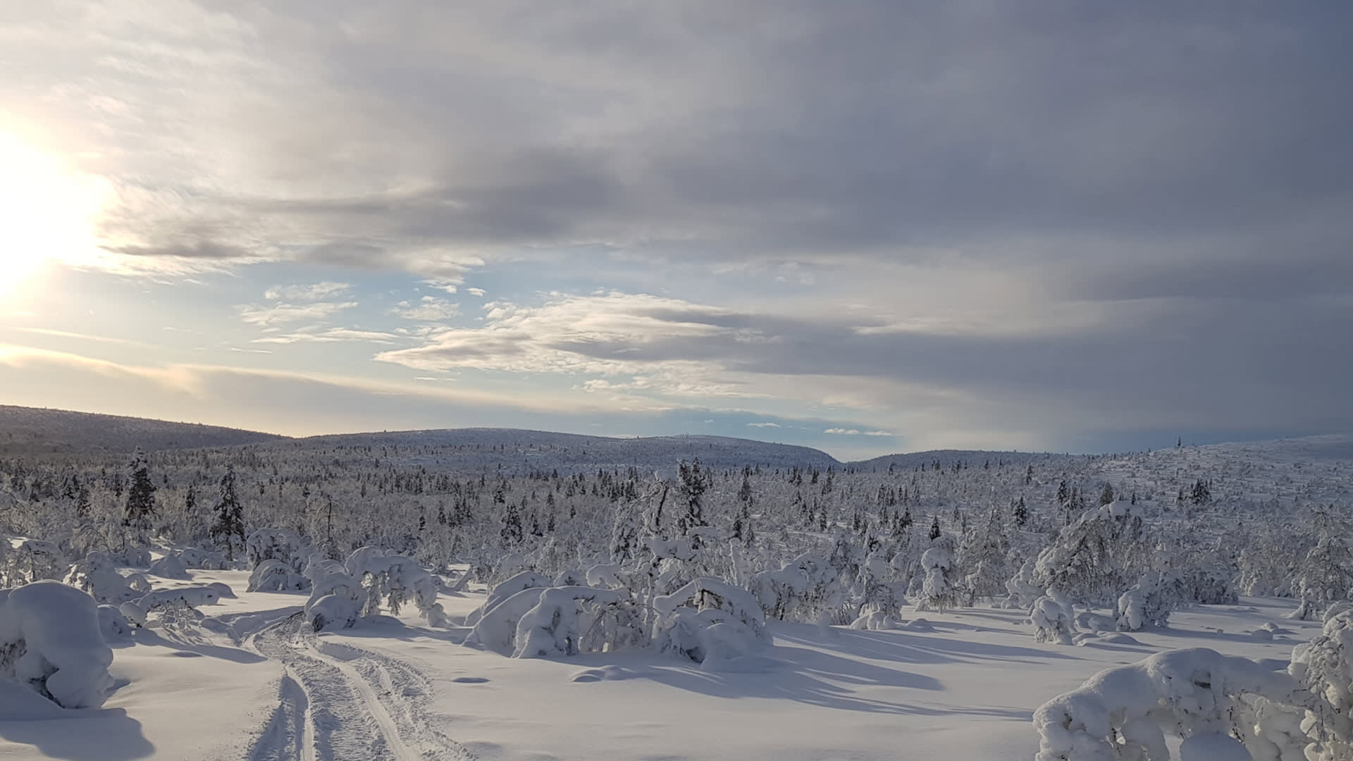 Tykkylumiset puut tunturissa, jota halkoo moottorikelkan jättämä ura.    There is lot of snow on the trees. Snowmobile trail goes between the trees.Photo: Kirsi Ukkonen