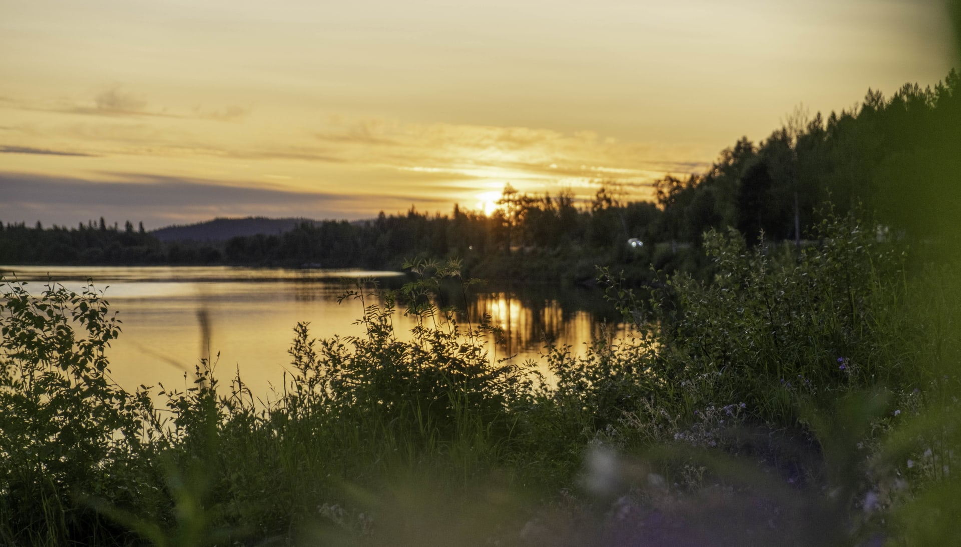 Ivalojoen ranta kesällä