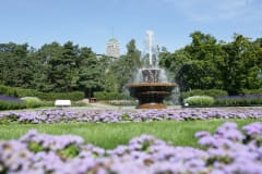 Fountain in Kultaranta Garden