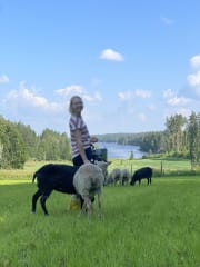 Miljöö, kotieläimet ja ympäröivä luonto luovat rauhallisen tunnelman. The surraudings, farm animals, and the beautiful natural environment create a peaceful and relaxing atmosphere.