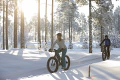 Two mountainbikers on a winter trail.