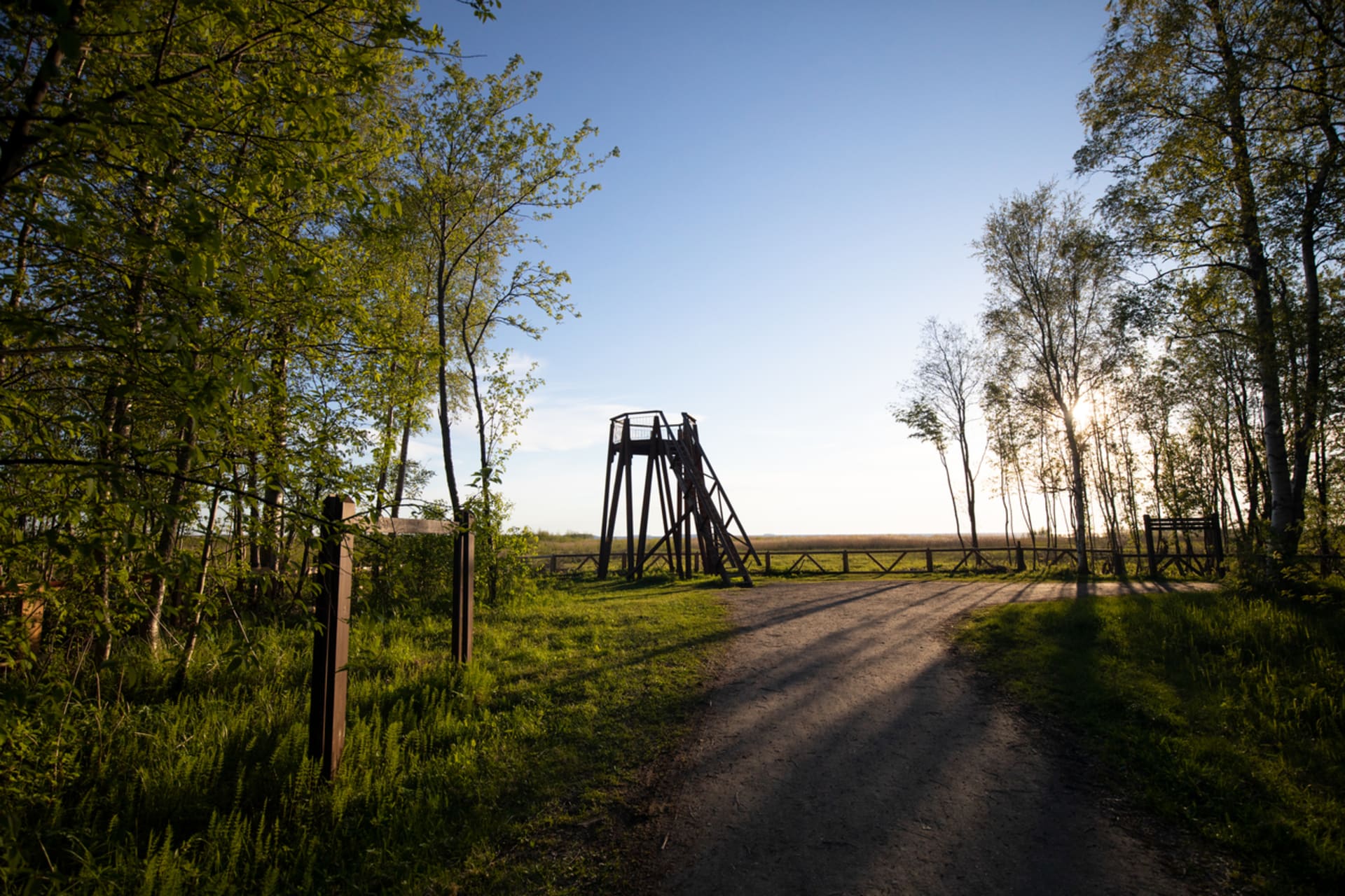 Bird watching tower in Hietasaari