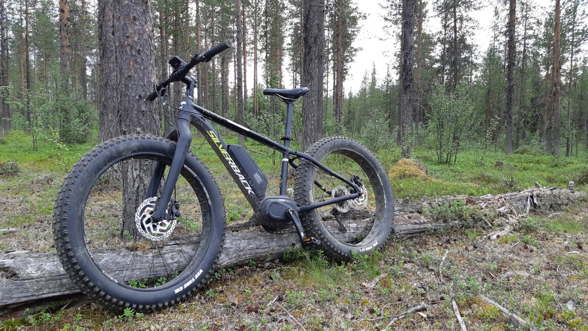 Fatbike Tour in the Forest
