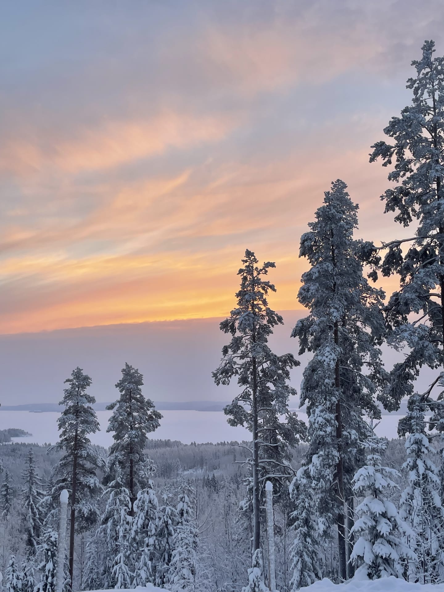 Riihivuoren upea maisema Päijänteelle
