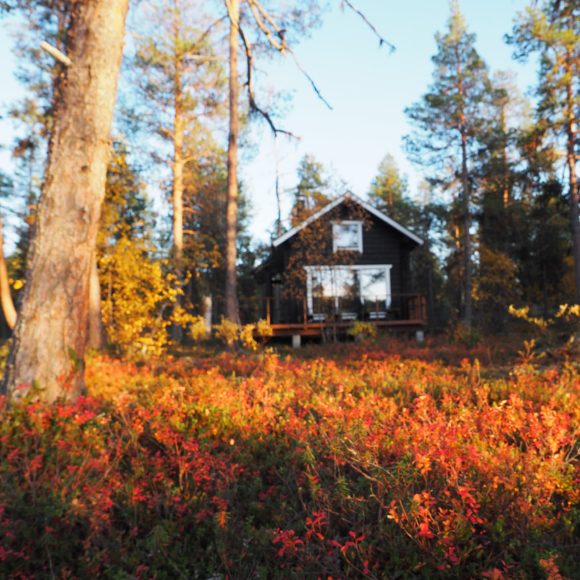 LapinTintti Eco-Cabin in autumn.