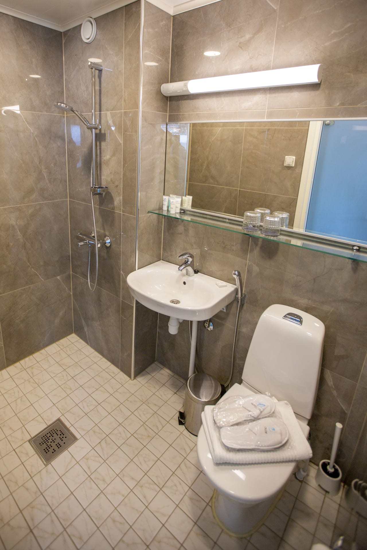 toilet and shower