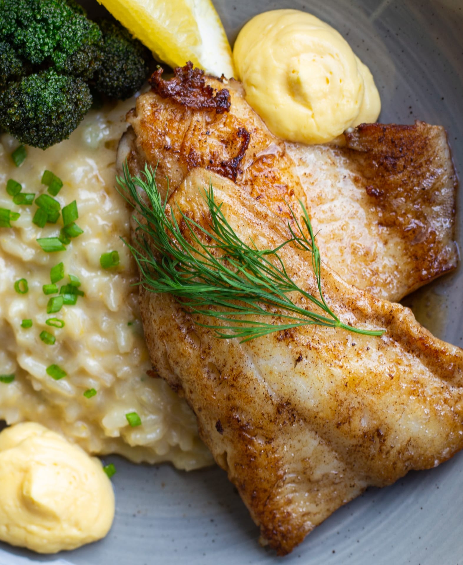 Locally caught pike-perch on the plate.