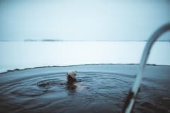 Rantasauna & järvikylpy Apukassa, Rovaniemellä