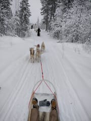 Huskysafarit Hemmulassa