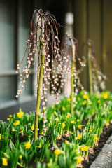 Pääsiäinen Helsingissä