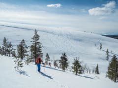 Spring skiing and touring in Ylläs