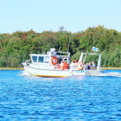 Hop On - Hop Off Risteily