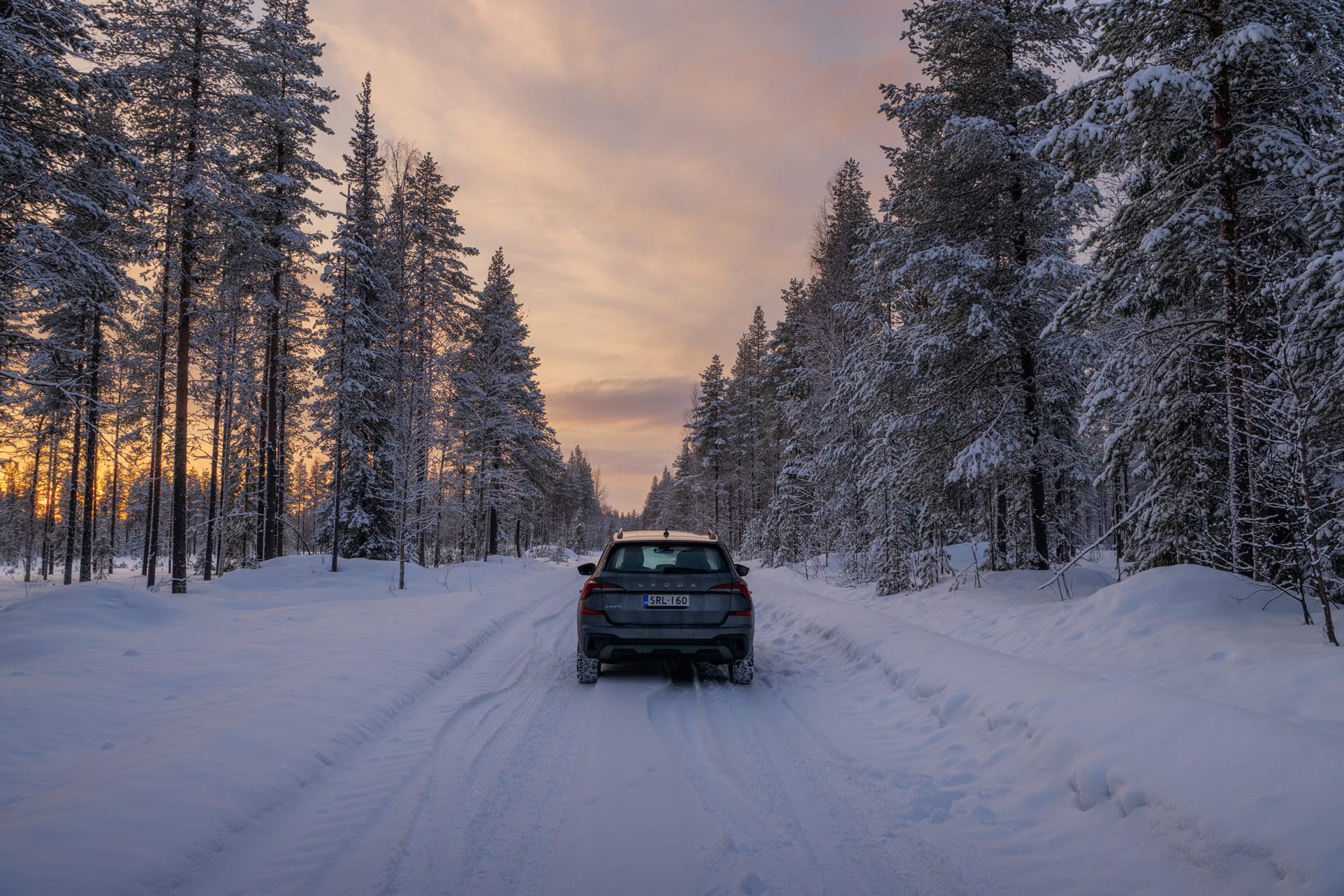 Avis car at dusk