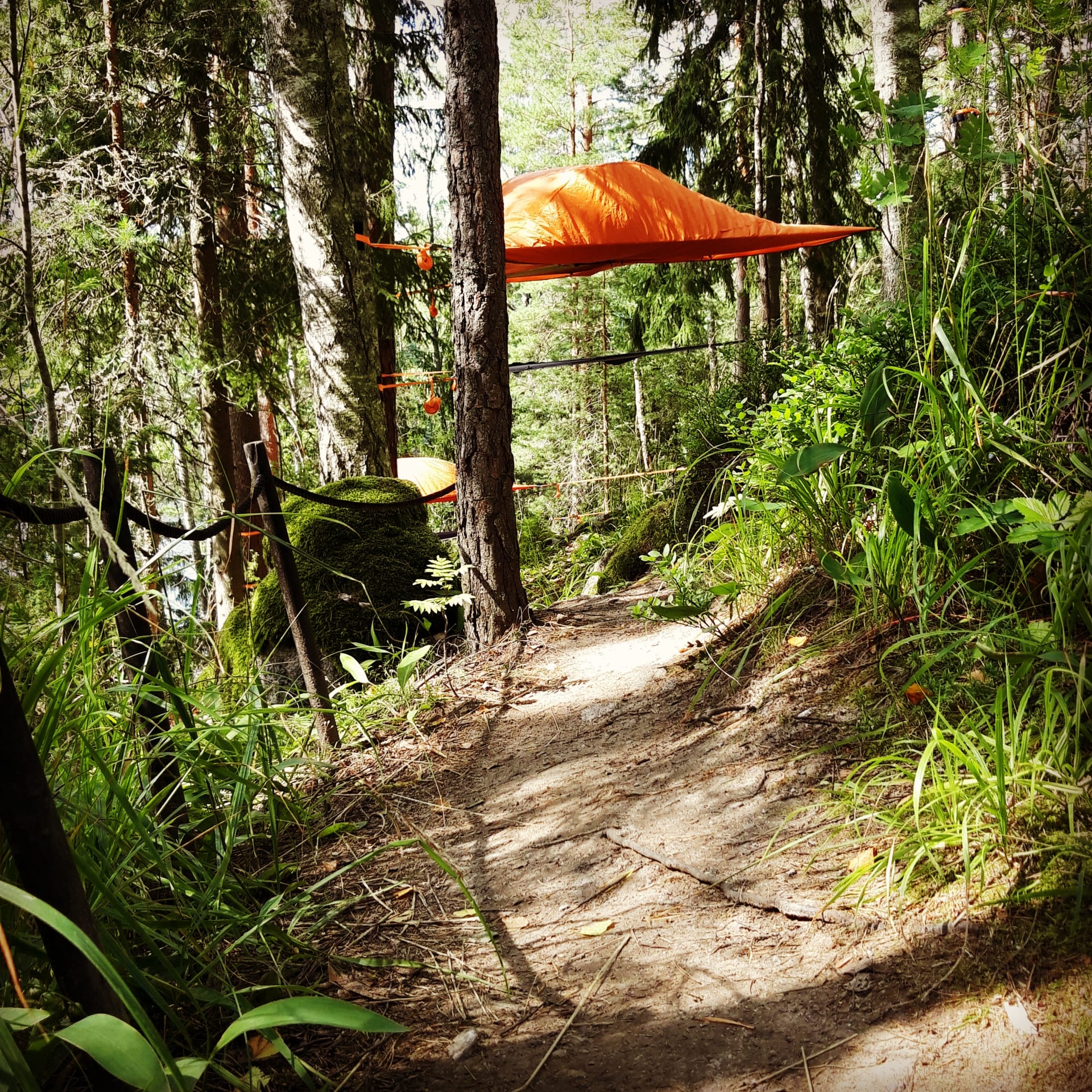 Tentsile Experience EcoCamp Nuuksio Visit Finland