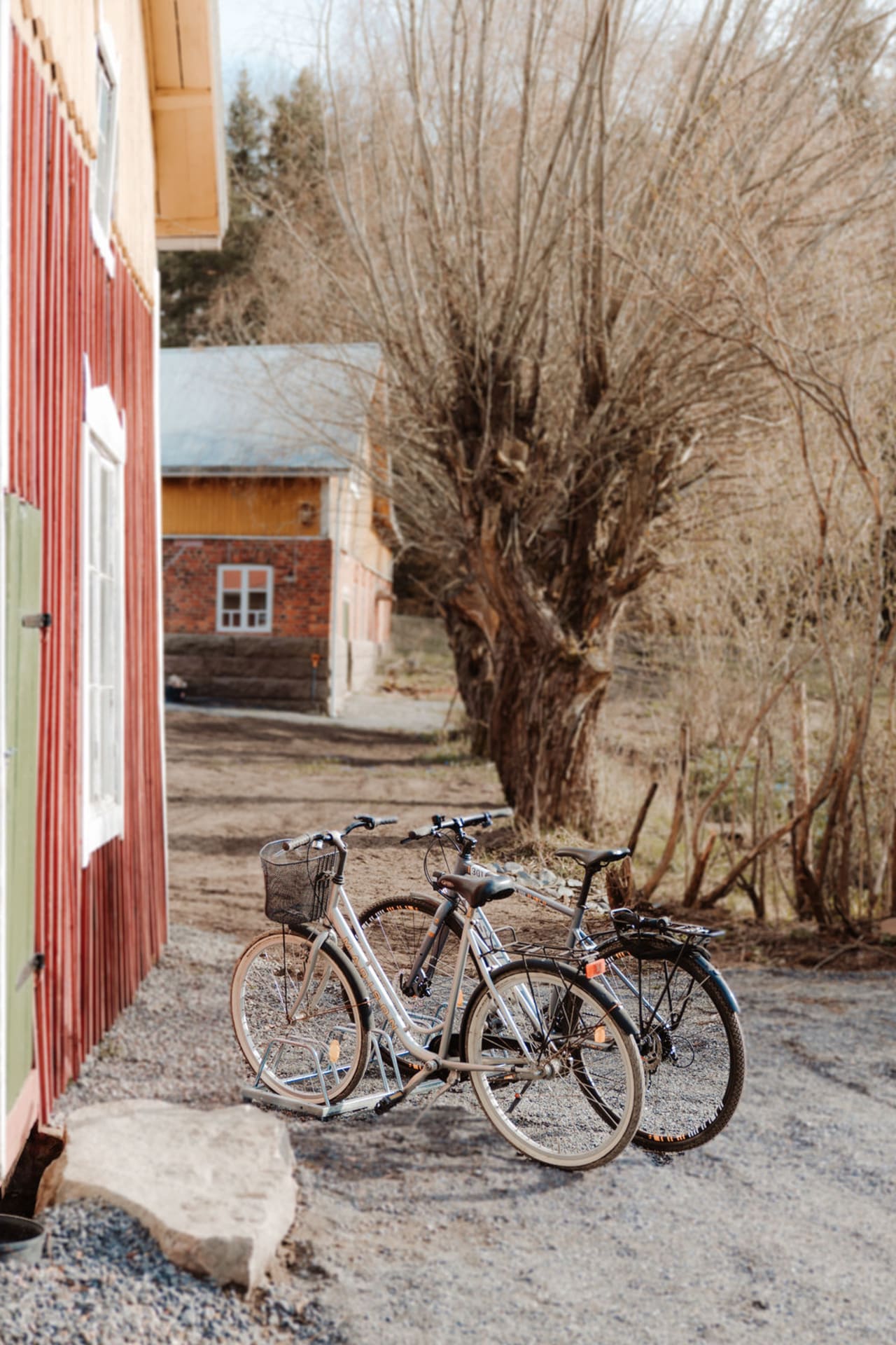 Pyöriä maatilan pihassa saariston rengastiellä Pyöriä maatilan pihassa saariston rengastiellä