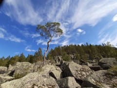 Puolenpäivän reipasvaellus aktiiviselle