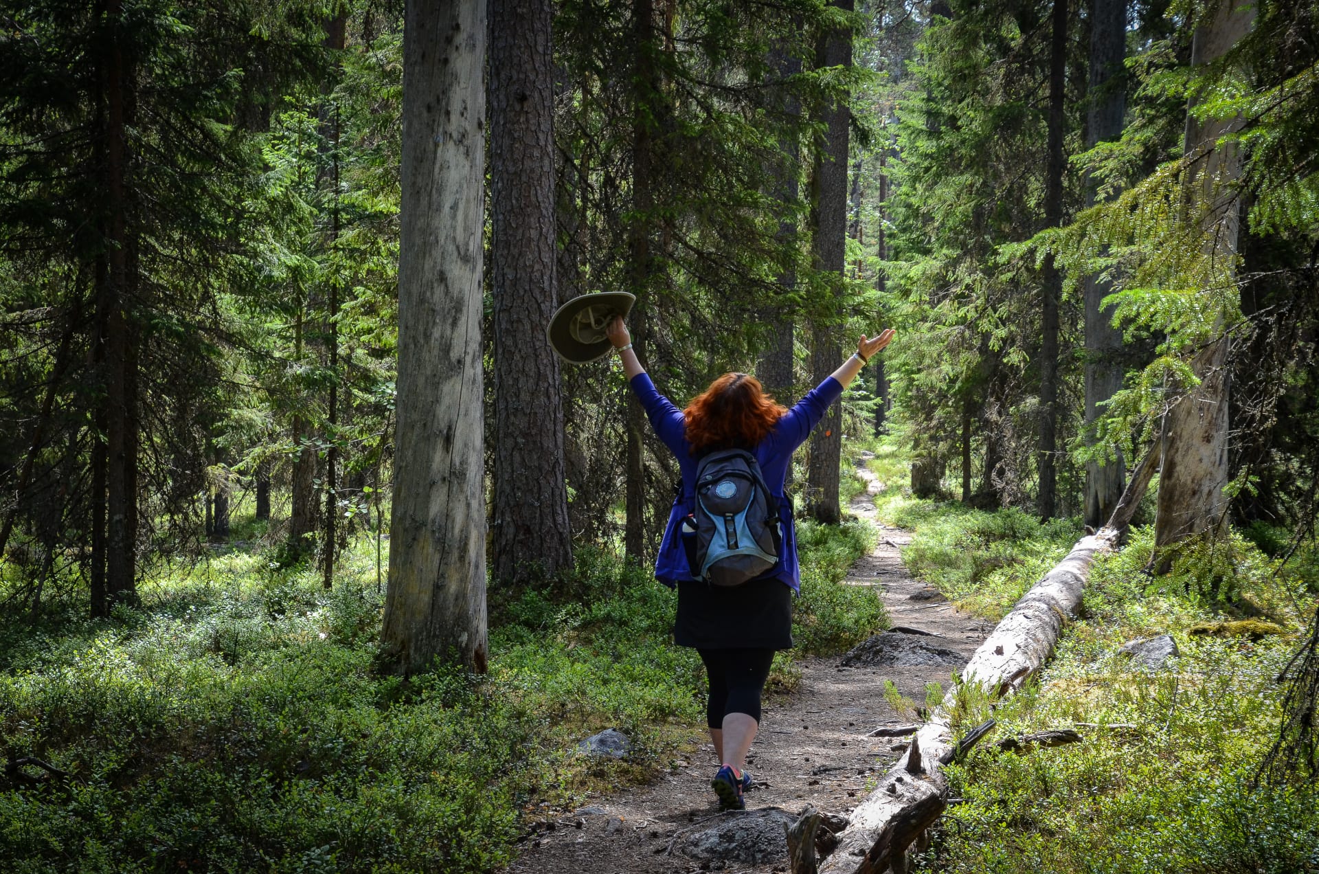 National Park Hopping