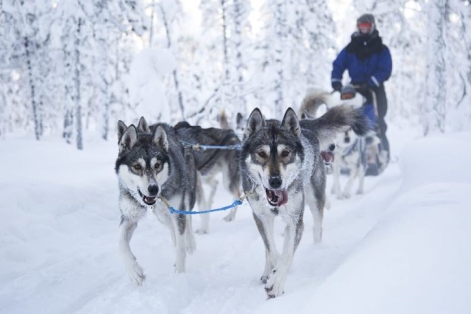 Northern Lights Adventure -package (4 days, 3 nights)