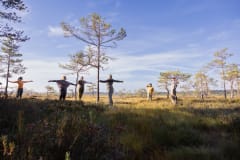 Luontojoogaa Tammelassa