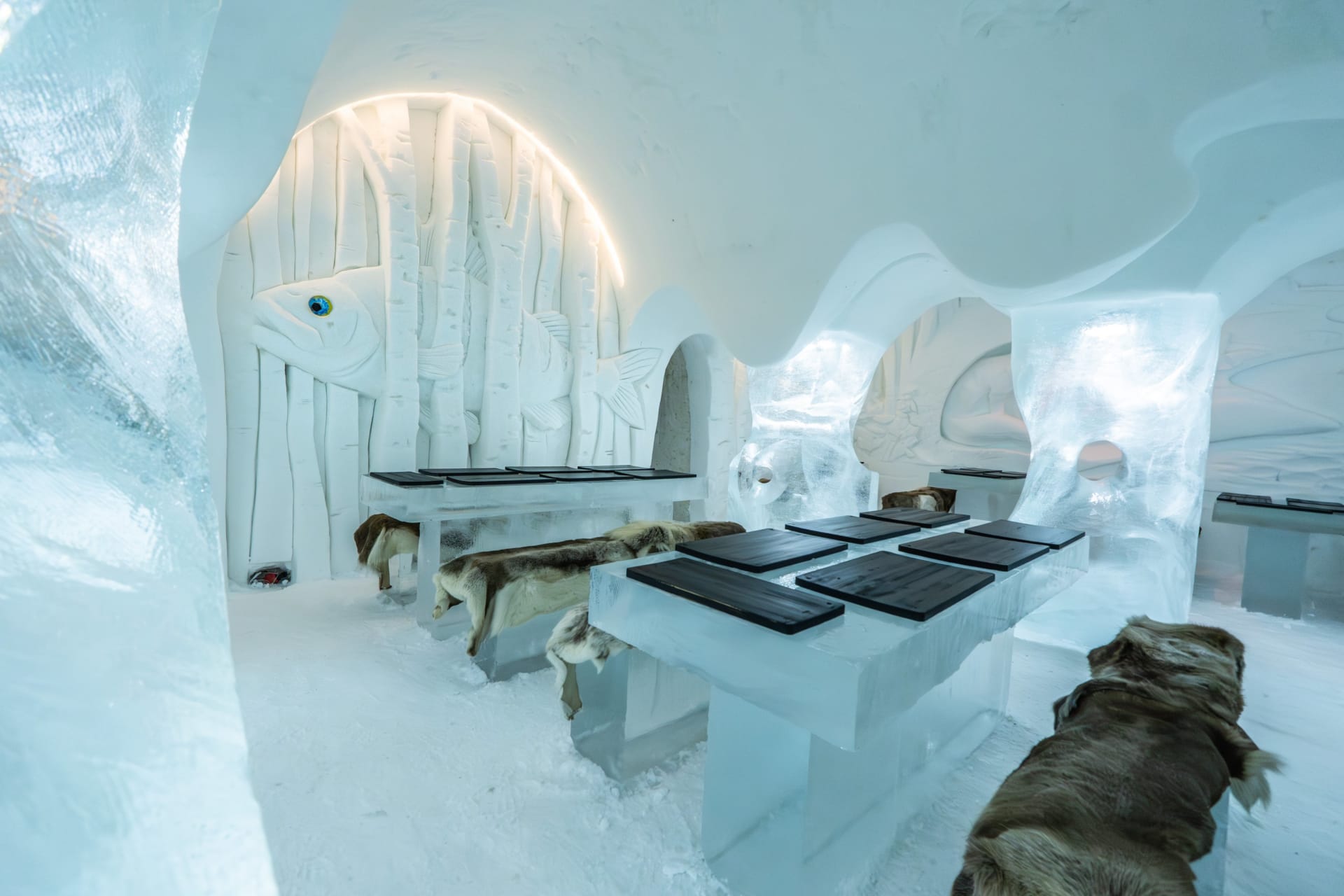 The Ice restaurant