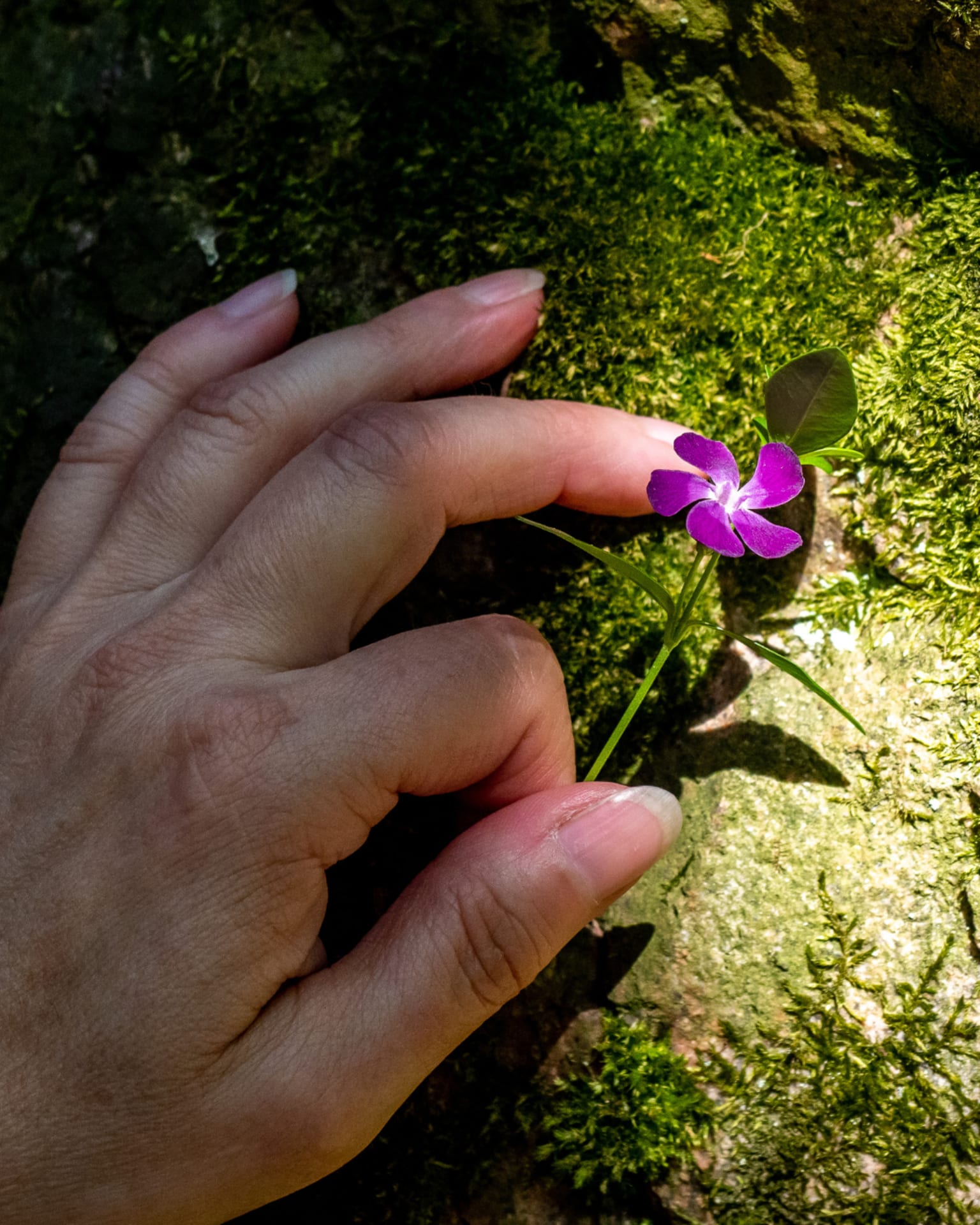 Exploring nature with all your senses