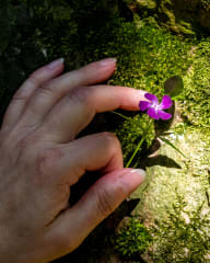 Exploring nature with all your senses