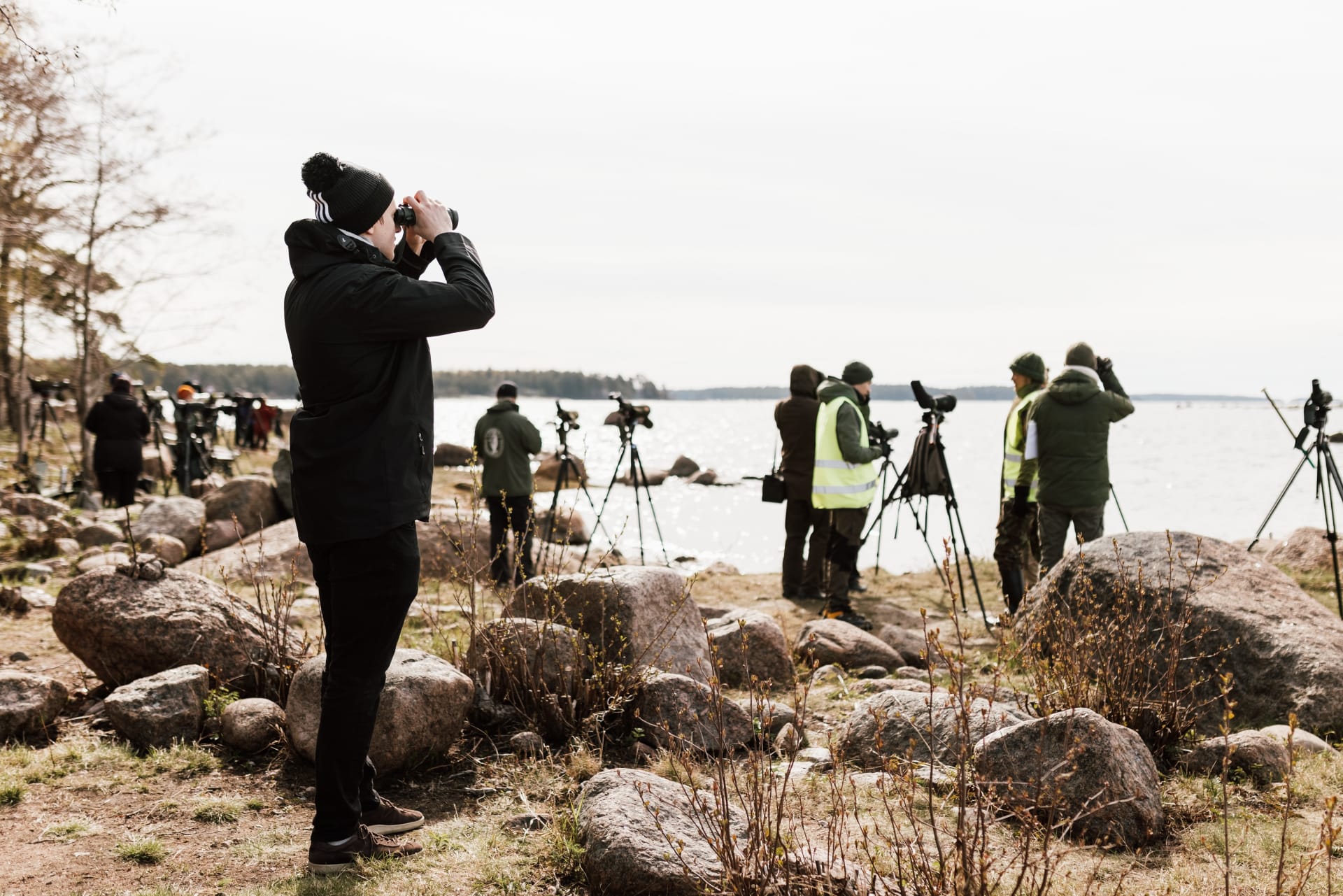 Birdwatching by the seaside in Leervik 