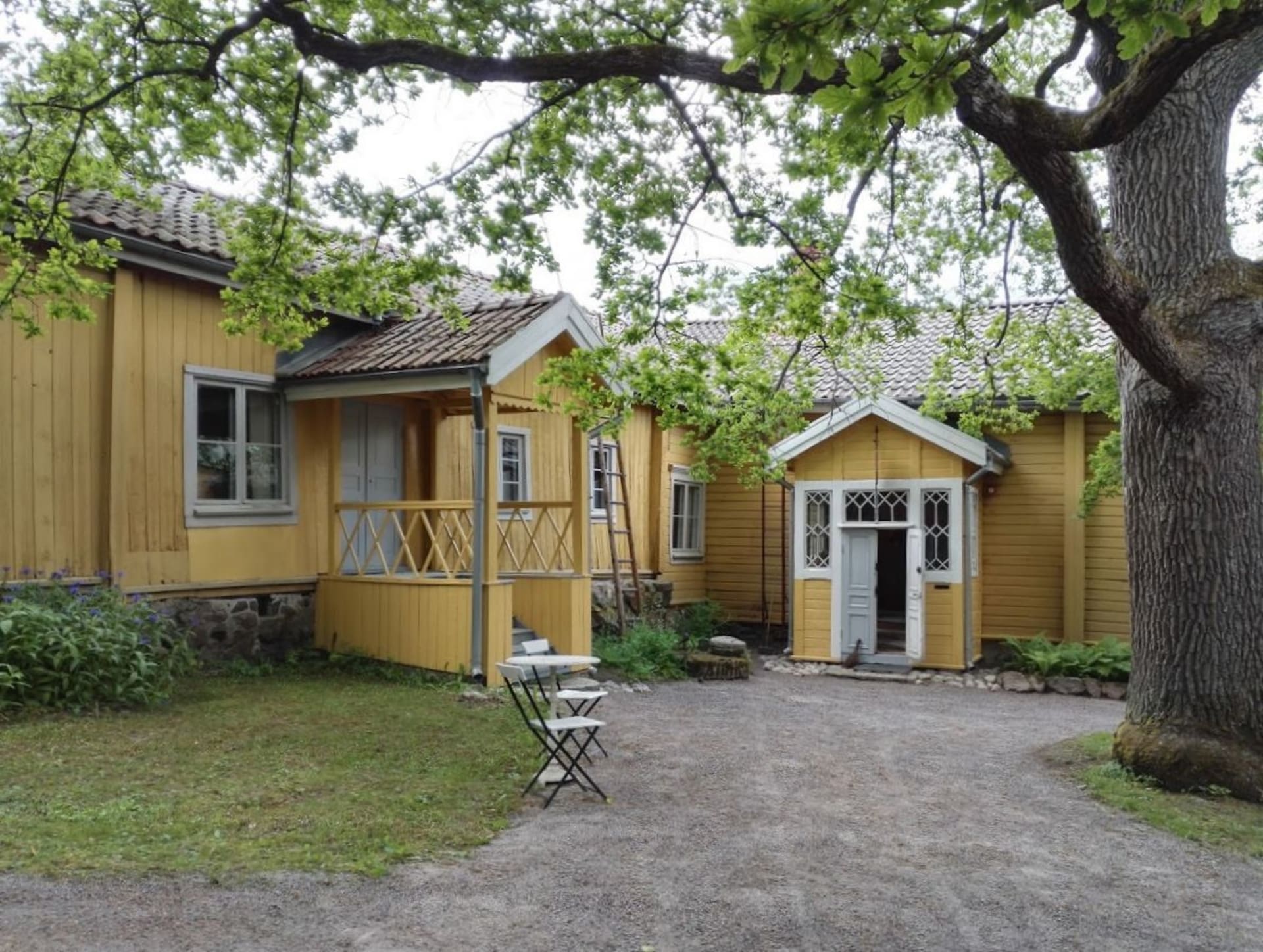 Yellow buildings and old oak in the back yard Yellow buildings and old oak in the back yard