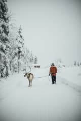 Porotilavierailu Kujalan Porotilalla