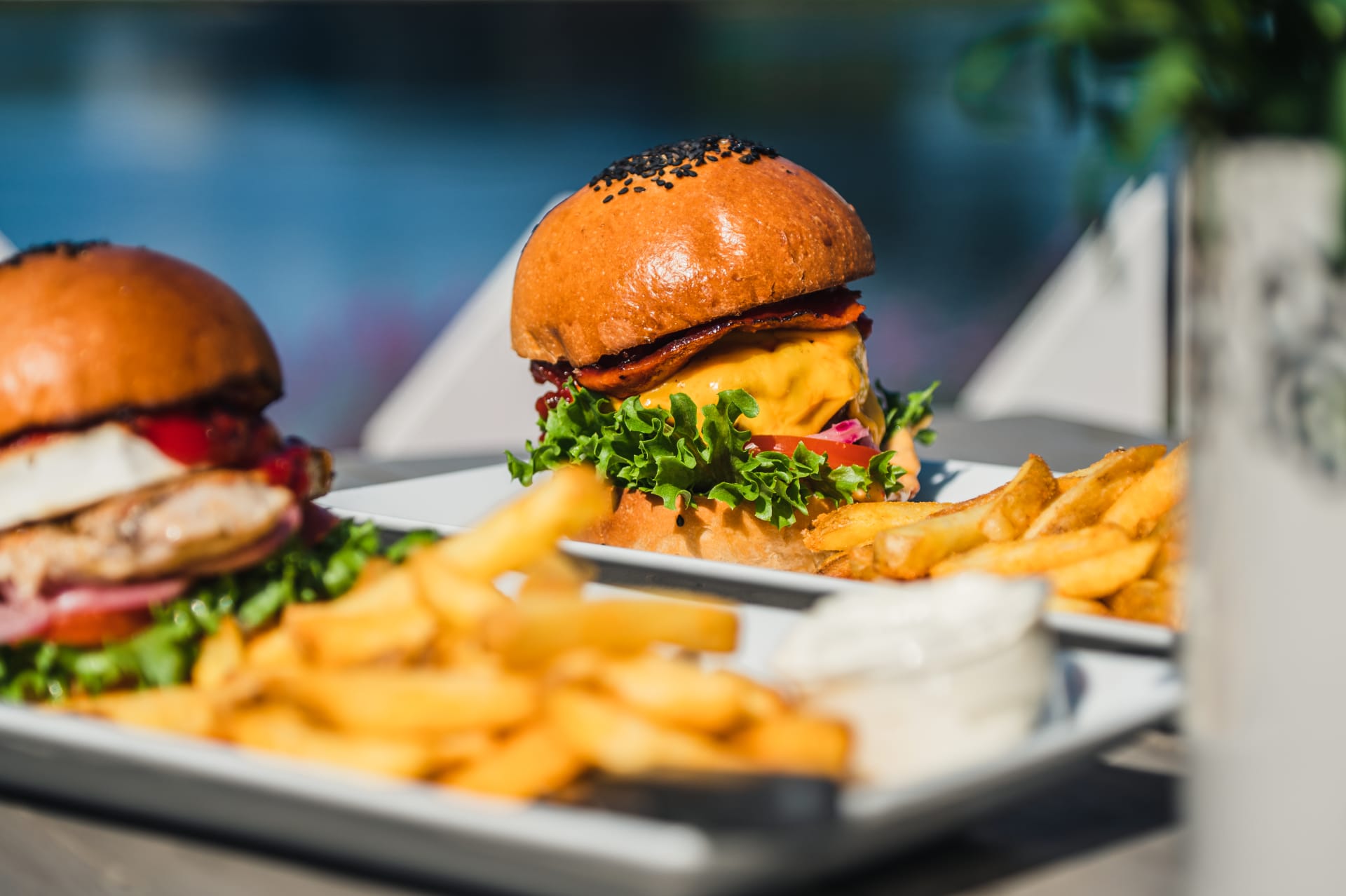 Chiliburger and Chicken Chevre Burger