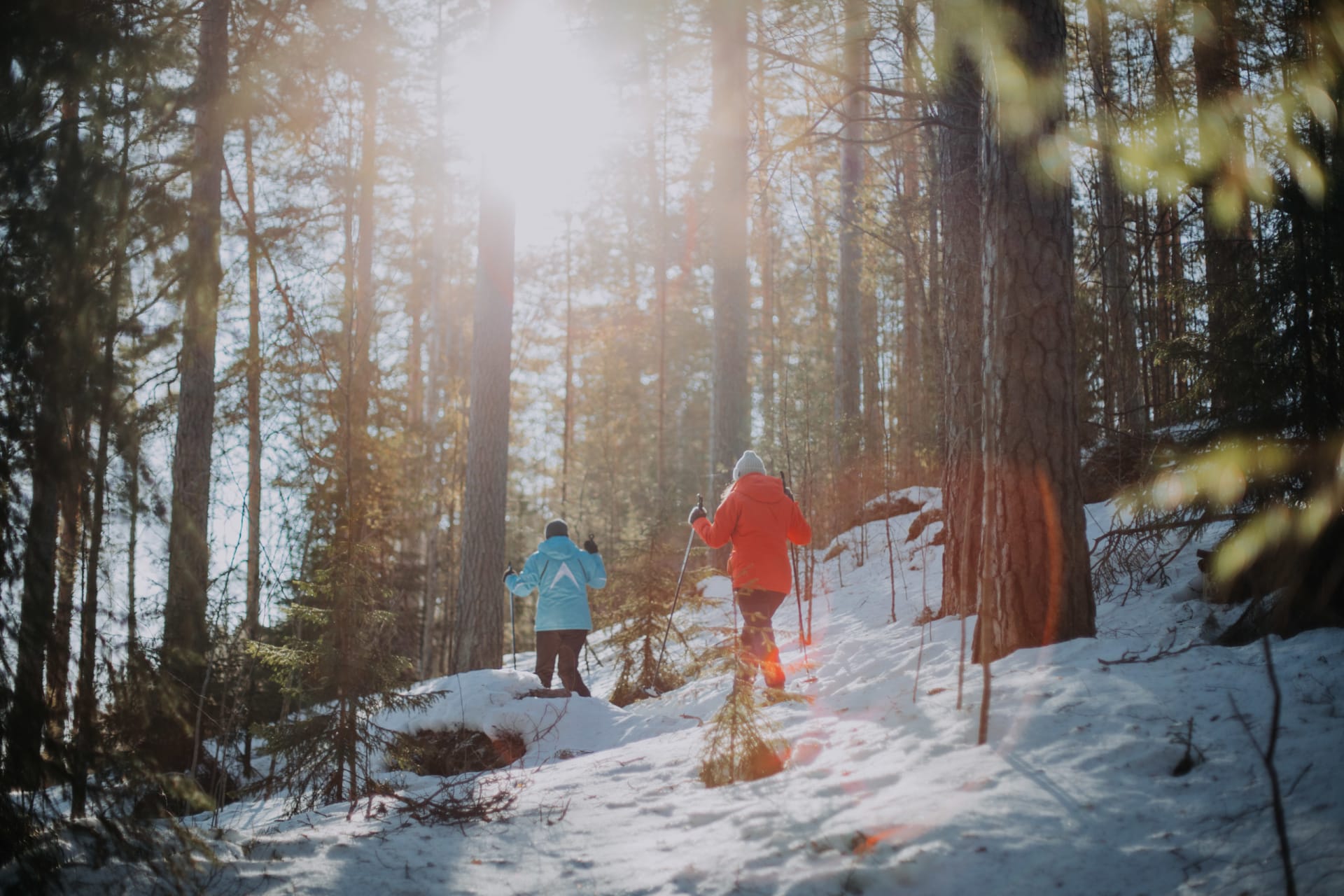 Snowshoeing in forest