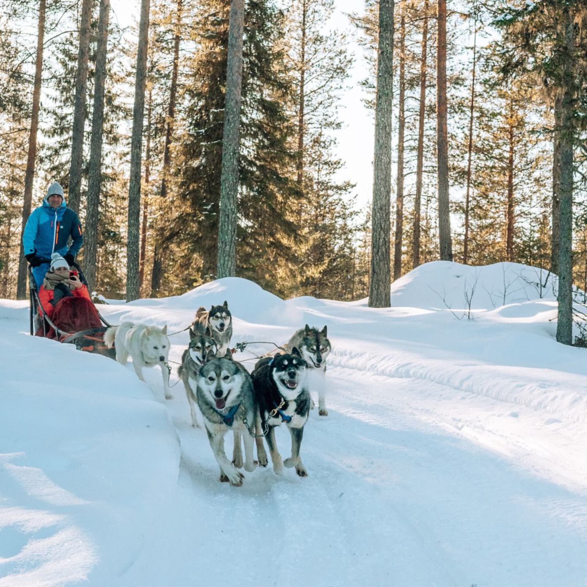 Husky ride