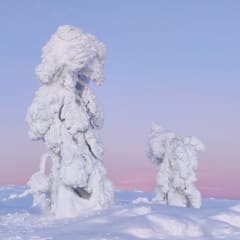 KuerHotel, Kuerkievari