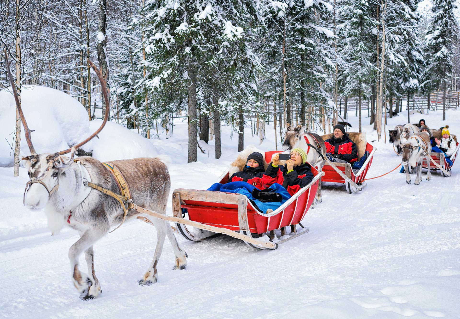 reindeer sled ride