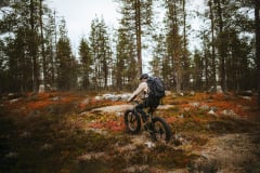 EFatBiking in the Nature